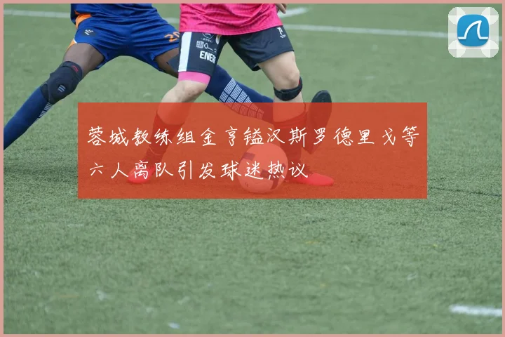 蓉城教练组金亨镒汉斯罗德里戈等六人离队引发球迷热议