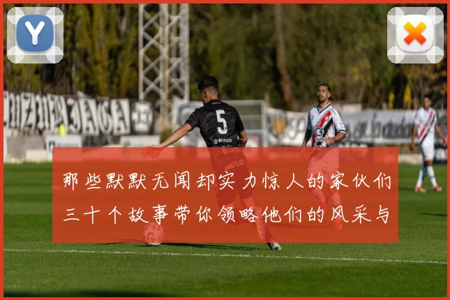 那些默默无闻却实力惊人的家伙们三十个故事带你领略他们的风采与传奇